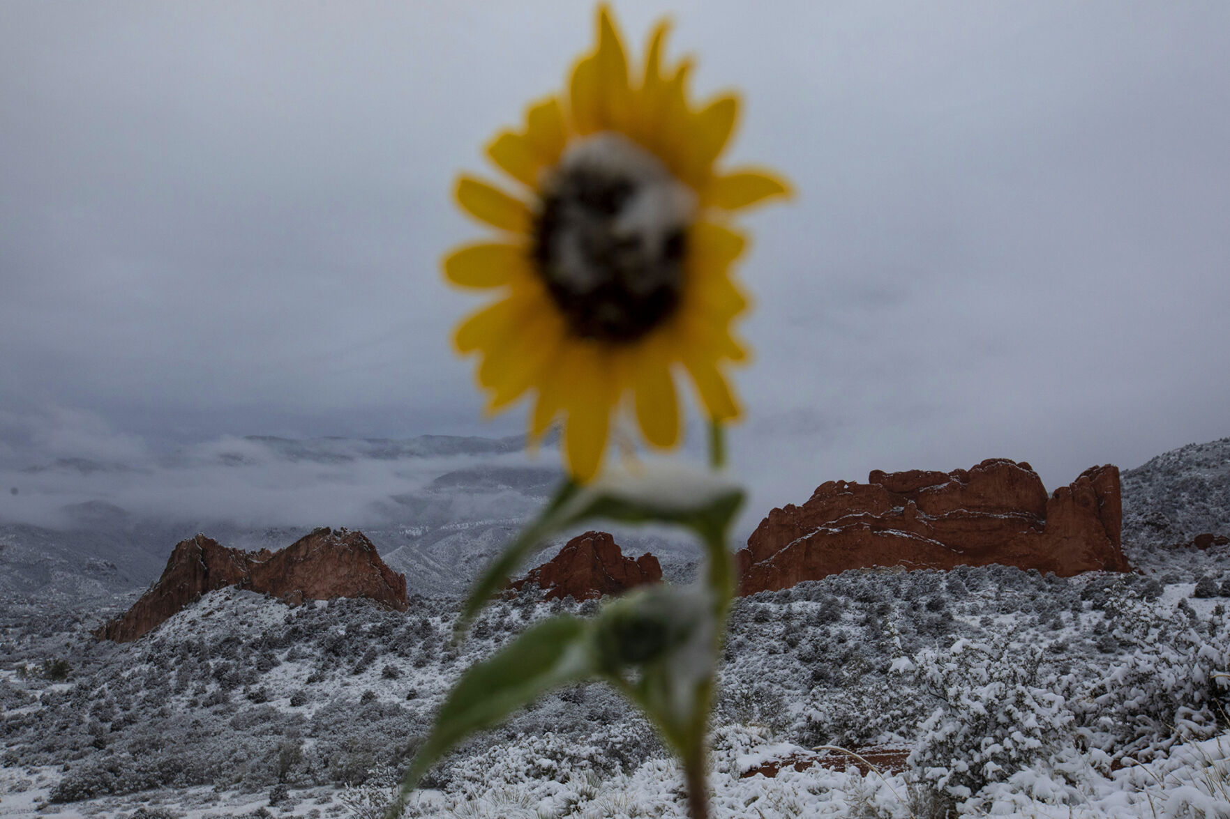 090920-news-earlysnow 09.jpg